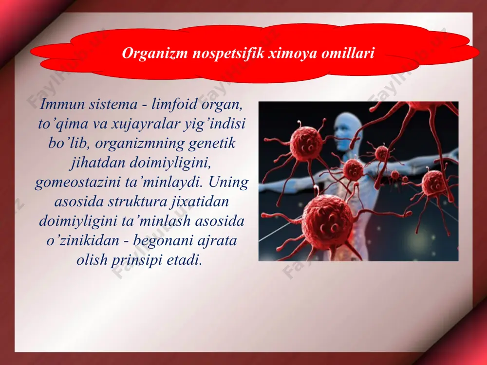 immunitet immunitet turlari organizmning infeksiyaga qarshi ximoya mexanizmi - Page 5