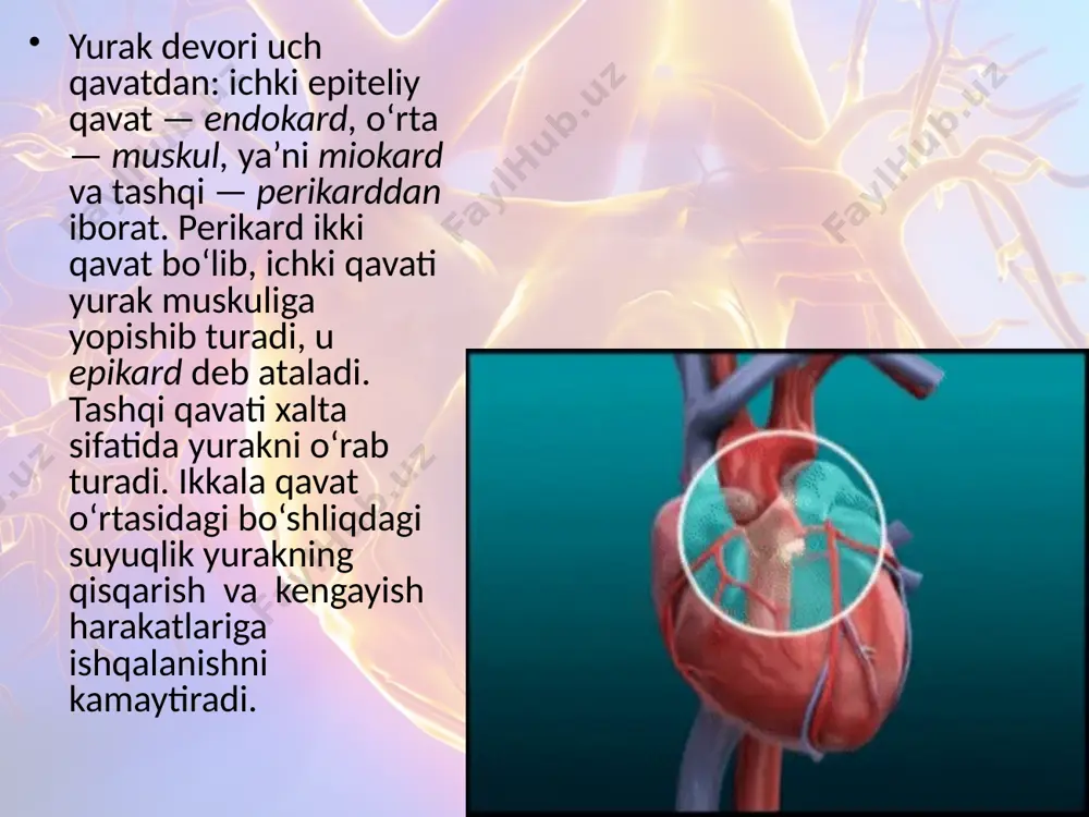 qon aylanish sistemasi haqida umumiy tushuncha. 8 - sinf - Page 5