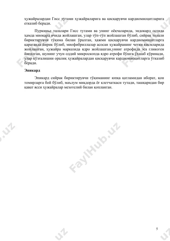 цити iv – пуркинье толалари: 1 – ядролар, 2 – миофибрил-лалар, 3 – митохондриялар, 4 – саркоплазма,5– гликоген доначалари, 6 – оралиқ филаментлар, 7 – миофиламент комплекси