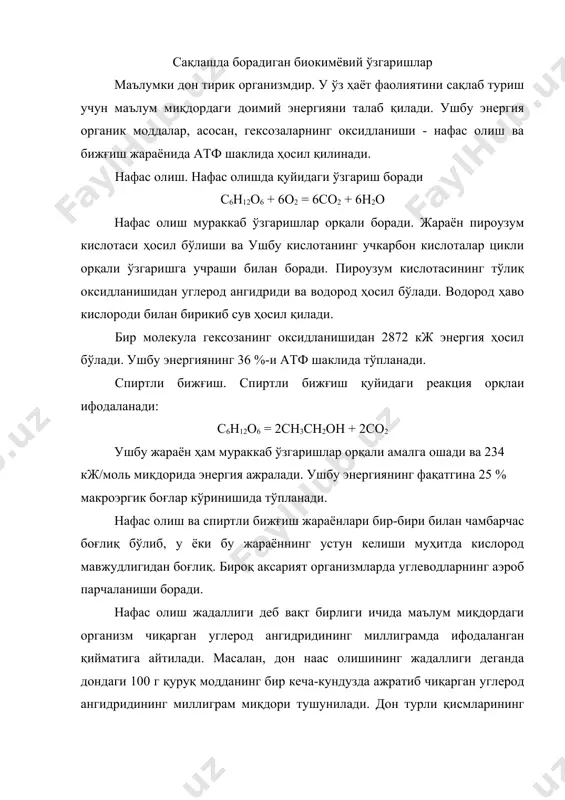 ллиги, асосан, намлик ва ҳароратдан боғлиқ. ҳарорат ортиши билан нафас олиш жадаллиги ҳам ортади. ҳарорат қиймати 55 ос бўлганда нафас олиш жадаллиги максимумгача етади. ҳароратнинг ушбу қийматдан ортишида оксидланиш-қайтарилиш ферментларининг инактивацияси туфайли нафас олиш жадаллиги пасаяди ва, ниҳоят, батамом тўхтайди. нафас олиш жараёнинг минималь қиймати дон намлиги критик кўрсатгичидан ортмаганида ва иложи борича паст ҳарорат бўлганда кузатилади. нафас олиш жараёнинг умумий тенгламасидан кўриниб турибдики, ютилган бир ҳажм кислородга 1 ҳажм углерод ангидриди ажралиб чиқиши керак. яъни нафасолиш коэффициенти деб номланган со2/о2 нибат қиймати бирга тенг. муҳитга ҳаво келиши чегараланганда ва сезиларли равишда анаэроб нафас олиш бошланганда нафс олиш коэффициенти қиймати ортади. нам дон сақланганда эса ривожланишлари қулай шароит яратилган аэроб микроорганизмлар ривожланиши туфайли ушбу коэффициент қиймати камаяди. хом ашёни сақлаш даврида кимёвий таркибининг ўзгариши одатда, янги йиғиб олинган крахмал сақловчи хом ашёда синтезланиш жараёнлари тўлиқ тугамаган бўлади. буларда йиғиб олингандан сўнг етилиш - қандларнинг крахмалга, аминокислоталарнинг оқсилларга айланиши давом этади. …