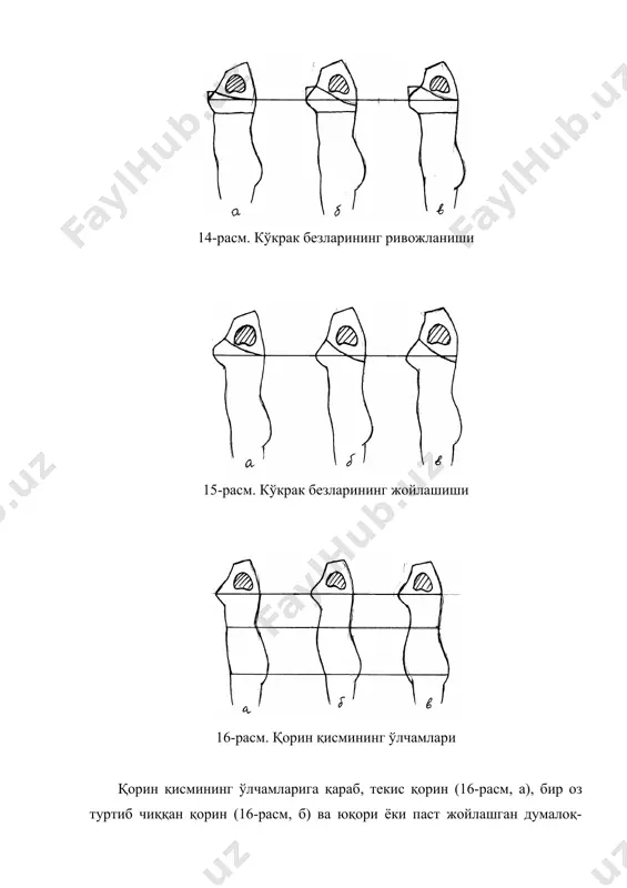 одам гавдаси ҳақида маълумот - Page 5