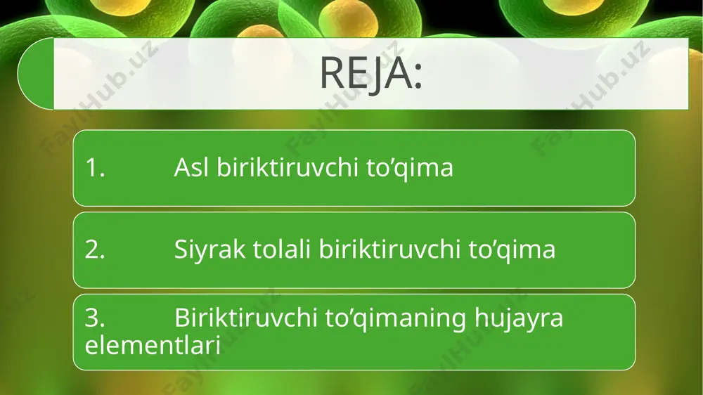 ujayralararo modda vositasida bajariladi. biriktiruvchi to’qima morfologiyasini o’rganish shu to’qimaning kasalliklarini (kollagenozlarni) va turli jarayonlarga bo’lgan javobini (immunologik reaktsiya, yallig`lanish, regeneratsiya) tushunishga yordam beradi. 1-rasm. izoh.siyrak tolali shakllanmagan biriktiruvchi to’qima. biriktiruvchi to’qimaning hujayra elementlari fibroblastlar (lat. fibra - tola, yunon. blastos - kurtak) biriktiruvchi to’qimaning asosiy hujayra elementlaridan hisoblanali. fibroblast yirik (20 mkm ga yaqin) noto’g`ri shakldagi hujayra bo’lib, qobig`i bir talay uzun o’simtalar hosil qiladi (2-rasm). sitoplazma chegarasi faqat elektron mikroskopdagina aniq ko’rinadi. fibroblast sitoplazmasida ikki qism: tashqi-ektoplazma va ichki - endoplazma tafovut qilinadi. ektoplazma faqat gialoplazmadan iborat bo’lib, ochroq bo’yaladi. endoplazma esa yadro atrofidagi hujayra organellari va kiritmalari joylashgan to’qroq bo’yalgan qismdir. fibroblast yadrosi yirik, cho’zinchoq shaklda bo’lib, o’zida asosan mayda euxromatin tutadi. kam differentsiallashgan fibroblastlar yadrosida bir yoki bir nechta yadrocha uchraydi. fibroblast hujayralari embrionda mezenxima hujayralaridan, voyaga yetgan organizmda esa o’zak hujayralardan hosil bo’ladi. dastavval fibroblastlarning boshlang`ich hujayralari dif-ferentsiallashib, ulardan yosh fibroblastlar, so’ngra esa yetuk fibroblastlar …
