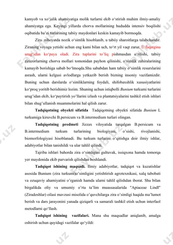 chiqarish tarmoqlarida foydalanish imkoniyatini baholash muhim ahamiyatga ega. jizzax viloyatida bunium turkumi turlarining tabiiy zahiralari va ularni plantatsiyalarini tashkil etish bugungi kunda dolzarb hisoblanmoqda. shunga koʻra, hududda tarqalgan bunium turkumi turlarining biologiyasi, shifobaxshlik xususiyatlari, ulardan oqilona foydalanish, kamyob va xoʻjalik ahamiyatiga molik turlarni ekib oʻstirish muhim ilmiy-amaliy ahamiyatga ega. keyingi yillarda chorva mollarining hududda intensiv boqilishi oqibatida baʼzi turlarining tabiiy maydonlari keskin kamayib bormoqda. zira nihoyatda nozik oʻsimlik hisoblanib, u tabiiy sharoitlarga talabchandir. ziraning voyaga yetishi uchun eng kami bilan uch, toʻrt yil vaqt zarur. u faqatgina urugʻidan koʻpaya oladi. zira tuplarini to’liq pishmasdan oʻrilishi, tabiiy zirazorlarning chorva mollari tomonidan payhon qilinishi, oʻsimlik zahiralarining kamayib borishiga sabab boʻlmoqda.shu sababdan ham tabiiy oʻsimlik resurslarini asrash, ularni kelgusi avlodlarga yetkazib berish bizning insoniy vazifamizdir. buning uchun darslarda oʻsimliklarning foydali, shifobaxshlik xususiyatlarini koʻproq yoritib berishimiz lozim. shuning uchun istiqbolli bunium turkumi turlarini urugʼidan ekib, koʻpaytirish yoʼllarini izlash va plantatsiyalarini tashkil etish ishlari bilan …