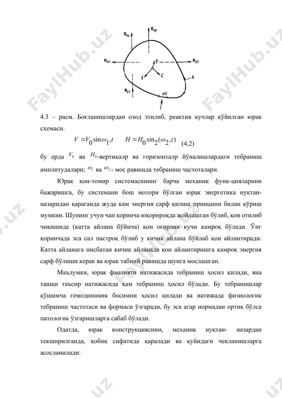 – қиб (внутрижелудочное давление – вжд) ни ўсиш даври ва ҳайдаш даври. худди шунингдек, юрак диастоли ҳам икки даврга ажралади – юрак олди диастоли ва қоринчалар диастоли (2-илова). қиб нинг ўсиш даври 0,09 дан 0,12 с.гача вақтда давом этади. юрак олди систоли қиб ни ўсишида катта аҳамият касб этади. қўзғалувчанлик, автоматизм, ўтказувчанлик ва қисқарувчанлик миокарднинг асосий функцияси ҳисобланади. миокарднинг ҳамма ҳужайралари қўзғалувчанлик хусусиятига эга. автоматизм хусусияти шундан иборатки, миокарднинг баъзи ҳужайралари ўз-ўзидан қисқариш лаёқатига эгадир. синус тугуни ҳужайралари 1 мин. да энг кўп қўзғалади ва юракнинг бир маромда қисқаришини таъминлайди. одатда, яъни нормал ҳолда юрак 1 минутда 60-80 марта қисқаради. миокардда импулpсларни ўтказиш, ҳужайраларнинг ўзаро электрохимиявий таъсирланиши туфайли амалга оширилади. бунинг натижасида импулpслар бутун миокардда тарқалади ва гавданинг хоҳлаган жойидан ёзиб олиш мумкин бўлган интенсивликда электр юритувчи куч пайдо бўлади. юракнинг электр юритувчи кучи таъсир этаётган вақтдаги ўзгаришини акс эттирувчи эгри чизиқ электрокардиограмма (экг) деб аталади (4.5 ва 4.6 - …