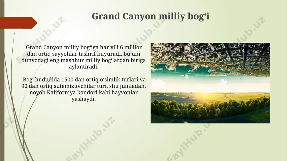 dunyodagi eng katta eco bogʻlar - Page 4