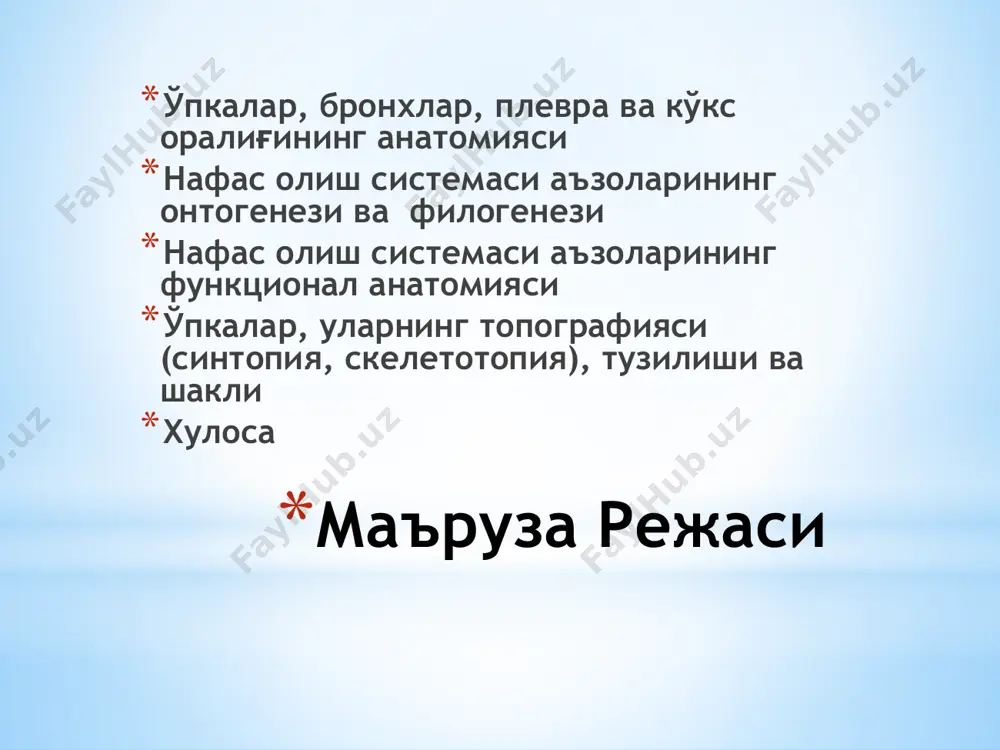 ica vocalis нинг асосида ётади, овоз бойламларини бўшаштиради. m. vocalis ва m. thyroarytenoideus овоз бойламини бўшаштиради, лекин m. cricoarytenoideus бўшаштиради, бу хамма бойламлар хар-хил хикилдоқ нервларидан иннервация килинади: бўшаштирувчилар - пастки хикилдок нервидан, тарангловчилар - юкорги хиқилдоқ нервларидан. hiqildoq bo‘shlig‘i — cavitas laryngis hiqildoq bo'shlig'iga kirish teshigi - aditus laryngis: hiqildoq usti tog'ayi, cho'michsimon tog'ayining uchi va yon sohada plica aryepiglotticae burmalari orasida joylashadi. hiqildoq bo'shlig'i qum soatiga o'xshash tuzulishga ega. uning yuqori kengaygan qismi hiqildoq dahlizi — vestibulum laryngis deyiladi. dahliz bo'shlig'ining pastki chegarasi — plica vestibularis burmalarigacha davom etadi. bu burm alar yolg'on ovoz boylamidan — hg. vestibularis hosil boldi. -bu boylamlar orasida esa dahliz tirqishi — rima vestibuli hosil bo'ladi. dahliz burmasining ostida,chin ovoz boylamlari — hg. vocale ishtirokida plica vocalis burmasi hosil bo'ladi. plica vestibularis bilan plica vocalis burmalari orasida hiqildoq qorinchasi bo'shlig'i — ventriculus laryngis joylashgan. ikki chin ovoz boylamlari orasidagi toraygan tirqish — rima …
