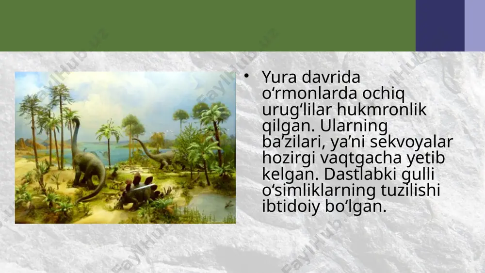 mezozoy, kaynazoy eralaridagi hayot. 10 - sinf - Page 4