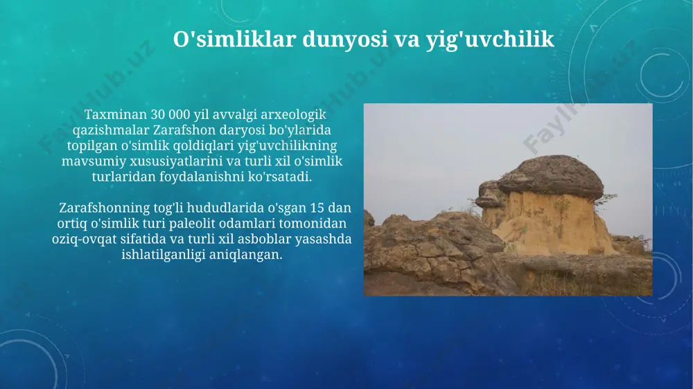 ko'rsatadi. zarafshon vodiysidagi paleolit jamoalarining geografik joylashuvi kattaqurg'on va maymar tog' tizmalari oralig'idagi zarafshon vodiysining tor qismi, paleolit davrida 2-3 ta kichik jamoalar uchun yashash joyi bo'lgan, chegaralangan resurslarga moslashgan. zarafshon vodiysining janubiy qismlari, xususan, 30-40 ming yil avvalgi paleolit davriga oid topilmalar bilan boy bo'lgan qizilqum cho'lining chekkasi, muhim aholi punktlarini o'z ichiga olgan. ijtimoiy tuzum va jamoaviy hayot o'rta paleolit davriga oid (taxminan 100 000 yil avval) zarafshon mintaqasidagi arxeologik qazishmalar, turli yoshdagi odamlarning birgalikda yashashi va ovchilikda hamkorlik qilganini tasdiqlaydi. taxminan 15 000 yil avvalgi zarafshon daryosi bo'ylaridagi joylashuvlarda topilgan ashyolar, jamoaning o'zaro hamkorlik va mehnat taqsimotining mavjudligini ko'rsatadi. turar joylar va yashash sharoitlari sarazm kabi joylarda topilgan arxeologik dalillar, paleolit davrida zarafshon vodiysida 20-30 kishilik kichik jamoalar yashaganini va ularning asosiy mashg'uloti ovchilik va yig'uvchilik bo'lganligini ko'rsatadi. tosh davri aholi punktlarining o'rtacha maydoni 500-1000 kvadrat metrni tashkil etib, bu o'sha davr uchun nisbatan katta hisoblanadi va …
