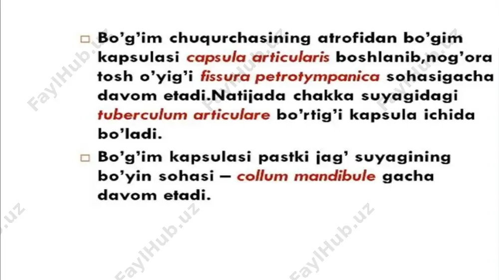 chakka pastki jag’ bo’g’imi - Page 5
