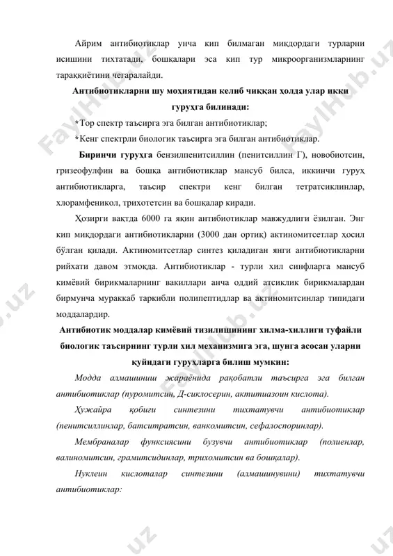 (батситроаин, аминогликозидлар, метимитсин, тетратсиклинлар, хлорамфеникол, макролидлар ва бошқалар). 7. нафас олишни тихтатувчи антибиотиклар (олигомитсинлар, потулин, пиотсианин ва бошқалар). 8. фосфорланишни тихтатувчи антибиотиклар (валиномитсин, грамитсидинлар, колитсинлар, олигомитсин ва бошқалар). 9. антиметаболит хоссага эга билган антибиотиклар (актиномитсетлар ва замбуруғларнинг айрим турлари ишлаб чиқарадиган антибиотик моддалар). бу бирикмалар аминокислоталар, витаминлар ва нуклеин кислоталарни антиметаболитлари сифатида таъсир кирсатади. антибиотиклар синтезловчи продутсент микроорганизмлар антибиотик моддаларни саноат шароитида ишлаб чиқариш асосан биологик синтез асосида амалга оширилади ёки биосинтез жараёнида олинган физиологик фаол бирикма молекуласини кимёвий модификатсия қилиш йили билан олинади. фақат саноқли антибиотикларгина кимёвий синтез йили билан олинади (масалан: хлорамфеникол). саноатда ишлаб чиқарилаётган антибиотикларнинг асосий продутсентлари бактериялар, актиномитсетлар ва митселиали замбуруғлардир. бактериялар синтез қиладиган антибиотиклар бактериялар ишлаб чиқарадиган антибиотиклар 600 га яқин ном билан айтилади. лекин, нисбатан унча кип билмаган миқдордаги антибиотиклар саноат асосида чиқарилади. булар орасида баcиллус бревис вар. г.в., ҳосил бўлган қиладиган грамисидин с ни, баc.полймйха ва баc.cирcуланс лар ишлаб чиқарадиган полимиксинлар, баcиллус личениформис …