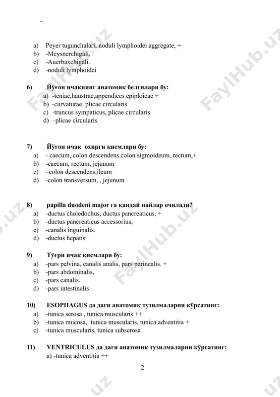 ontalis c) tela submucosae, plicae circulares, tunica serosa + d) -collum, pars horizontalis 13) duodenum да даги анатомик тузилмаларни кўрсатинг: a) -colon ascendens, рars cardiacae ++ b) -pars pylorica,рars cardiacae c) -pars superior,pars descendens, pars horizontalis + d) -taenia libera 14) intestinum crassumда даги анатомик тузилмаларни кўрсатинг: a) -flexura colli dextra,caecum, taenia omentalis + b) -papilla minor,pars cardiaca, papilla major c) -papilla major d) -taenia libera 15) hepar да даги анатомик тузилмаларни кўрсатинг: a) -lobus dextra et sinistra, lobus caudatus et caudatus, venae centralis + b) -venae lobulis, lobus superior c) -tunica mucosa,papilla major, lobus superior d) - lobus superior 16) hepar да даги анатомик тузилмаларни кўрсатинг: a) -facies diafragmaticae et visceralis lig. falciformae hepatis, portae, ductuli biliferi + b) -ductus choledochus c) -ductus hepaticus sinister d) -lig. falciformae hepatis, lig.portae 17) cavum nasi да даги анатомик тузилмаларни кўрсатинг: a) -cartilago nasi medialis + b) -tonsillae palatinae c) -cartilago septi …