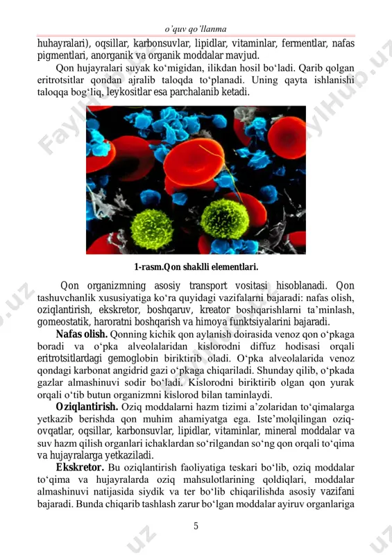 rotsitlardagi gemoglobin biriktirib oladi. oʻpka alveolalarida venoz qondagi karbonat angidrid gazi oʻpkaga chiqariladi. shunday qilib, oʻpkada gazlar almashinuvi sodir boʻladi. kislorodni biriktirib olgan qon yurak orqali oʻtib butun organizmni kislorod bilan taminlaydi. oziqlantirish. oziq moddalarni hazm tizimi a’zolaridan toʻqimalarga yetkazib berishda qon muhim ahamiyatga ega. iste’molqilingan oziq- ovqatlar, oqsillar, karbonsuvlar, lipidlar, vitaminlar, mineral moddalar va suv hazm qilish organlari ichaklardan soʻrilgandan soʻng qon orqali toʻqima va hujayralarga yetkaziladi. ekskretor. bu oziqlantirish faoliyatiga teskari boʻlib, oziq moddalar toʻqima va hujayralarda oziq mahsulotlarining qoldiqlari, moddalar almashinuvi natijasida siydik va ter boʻlib chiqarilishda asosiy vazifani bajaradi. bunda chiqarib tashlash zarur boʻlgan moddalar ayiruv organlariga 1-rasm.qon shaklli elementlari. xudjanova m.a., ismatova m.sh., yuldasheva f.i. 6 yetkaziladi. xuddi shuningdek, ortiqcha iste’mol qilingan suv, tuz va oziq moddalar ham, masalan, gemoglobinni parchalanishidan hosil boʻlgan oʻt suyuqligi pigmentlari-jigarga boradi va ular oʻt bilan chiqarib yuboriladi. boshqaruv. qon asosan endokrin, ekzokrin va aralash bezlardan ajralib chiqadigan gormonlarni organ …