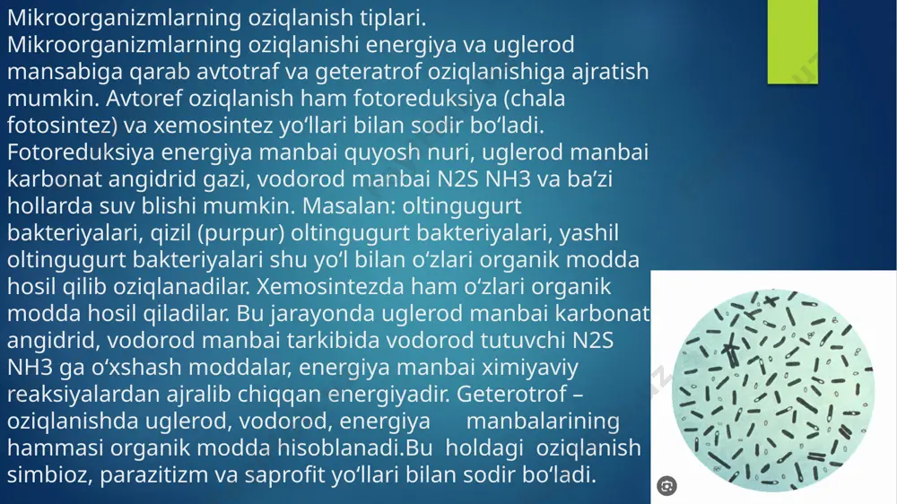 mikroorganizmlar fiziologiyasi - Page 4