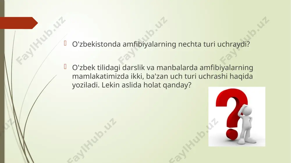 nkalarning rivojlanishi uchun turga nisbatan yuqori harorat kerak. turon qurbaqasining yasash joylari mavsumiyligi xronologiyasi ko'l baqasi - pelophylax ridibundus baqaning gavdasi yapaloq, katta yassi boshi tanasiga chegarasiz qo‘shilib ketganligidan bo‘yni bilinmaydi. boshi tanasiga harakatchan birikkanligi bilan baliqlardan farq qiladi. bo‘yni qisqa bo‘lsa ham, baqa boshini har tomonga buradi va ega oladi. boshining ikki yoniga bo‘rtib chiqqan ko‘zlarini yuqoridan va pastdan harakatchan qovoqlar himoya qiladi. qovoqlar ko‘zni namlab, uni qurib qolishdan saqlaydi. bir juft burun teshigi ko‘zlarining oldida joylashgan. burni hid bilish va havo o‘tkazish vazifasini bajaradi. burun bo‘shlig‘i og‘iz bo‘shlig‘i bilan tutashgan. baqa va boshqa suvda hamda quruqlikda yashovchilar atmosfera havosi bilan nafas oladi. ko'l baqasining tarqalgan hududlari: saqlangan namuna inson kuzatuvida aniqlangan suvda hamda quruqlikda yashovchilarga oid quyidagi 10 ta qiziqarli ma'lumotlar: ayni vaqtda amfibiyalar sinfiga 3 turkumga mansub 7932 tur hayvon kiradi. dumsizlar turkumi eng katta turkum hisoblanib, o'z ichiga 7000 turni, dumlilar turkumi esa 723 turni, oyoqsizlar …