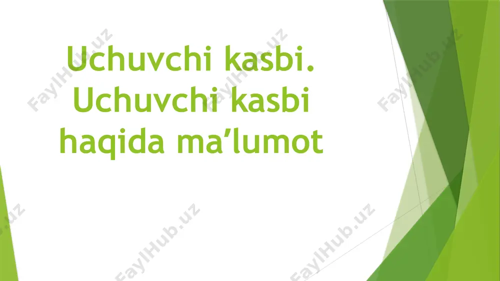 uchuvchi kasbi. uchuvchi kasbi haqida maʼlumot - Page 2
