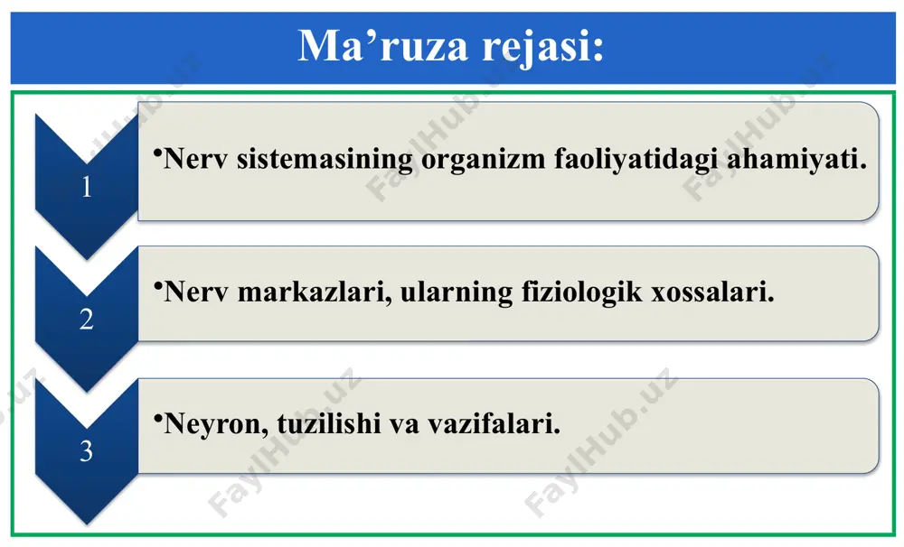 da ispulsni markazdan ishchi organga yetkazuvchi efferent (harakatlantiruvchi) neyron; tegishli faoliyatni bajaruvchi ishchi organ (effektor)-muskul yoki bez. chin refleks vujudga kelishi uchun qoʻzgʻalish reflektor yoyning xamma qismlaridan oʻtishi kerak. 1. nerv sistemasining organizm faoliyatidagi ahamiyati. tabiiy sharoitda kuzatiladigan reflektor reaksiyalar ancha murakkab. ularning yuzaga chiqari markaziy nerv sistemasining turli qismlari ishtirok etadi, bu reaksiyalar aniq boʻlishi va maqsadga yetishini ta’minlashi uchun qaytar bogʻlanishlarning ahamiyati katta. qaytar afferentasiya asosida nerv markazi effektor faoliyatiga tegishli tuzatishlar kiritib turadi: faollik darajasi yetarli boʻlmasa, u kuchaytiriladi, yuqori boʻlsa, susaytiriladi. lishinida 1. nerv sistemasining organizm faoliyatidagi ahamiyati. umurtqali hayvonlar va odamning nerv sistemasi markaziy va periferik qismlarga boʻlanadi. bosh va orqa miyalarning tarkibiy qismlari markaziy nerv sistemasini (mns) tashkil qiladi. periferik nerv sistemasi tugunlar va nervlardan iborat. bosh miya, orqa miya va tugunlar ikki xil hujayralardan nerv va glial hujayralardan tuzilgan. markaziy nerv sistemasining juda murakkab faoliyatlari asosan nerv hujayralari (neyronlar) bilan bogʻliq. 1. nerv …