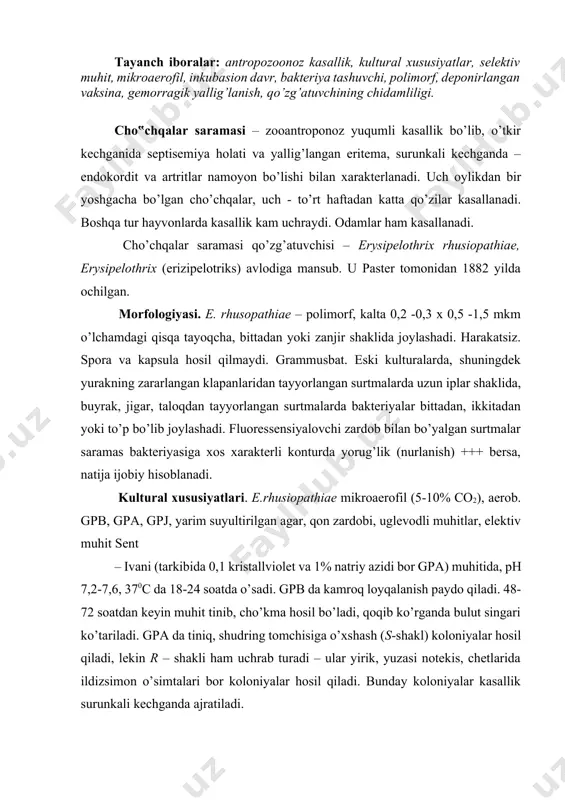 tomchisiga o’xshash (s-shakl) koloniyalar hosil qiladi, lekin r – shakli ham uchrab turadi – ular yirik, yuzasi notekis, chetlarida ildizsimon o’simtalari bor koloniyalar hosil qiladi. bunday koloniyalar kasallik surunkali kechganda ajratiladi. gpj da 6-10 kundan keyin gorizontal o’smalar paydo bo’ladi, jelatina erimaydi. biokimyoviy xususiyatlari. saramas qo’zg’atuvchisi vodorodsulfid h2s ajratadi, katalaza hosil qilmaydi, glyukoza, laktozani gazsiz kislota hosil qilib parchalaydi, saxaroza, mannitni parchalamaydi. chidamliligi. e.rhusiopathiae spora hosil qilmasa ham, tashqi muhit ta’siriga chidamlidir. ular ampulada mahkamlangan suyuq muhitda 17-35 yil, jasadda bir necha oy, suvda 73 kun, tuproqda 108 kun, quruqlikda 3 hafta yashaydi.saramas bakteriyasi 500c da 15, 700c da 5 daqiqa, go’shtning qalin bo’laklarini qaynatganda 2,5 soatdan keyin o’ladi. odatdagi dezinfeksi yalovchi moddalar yaxshi samara beradi. ular ultrabinafsha nurlariga sezgir. patogenligi. saramas bakteriyasi tabiiy sharoitlarda cho’chqa, qo’zi, buzoq, parrandalar, baliq, olmaxon, ola bug’ilar va odamlar uchun patogenli dir. sun’iy zararlashga oq sichqon va kabutarlar moyildir. patogenezi. qo’zg’atuvchi organizmga alimentar yo’l …