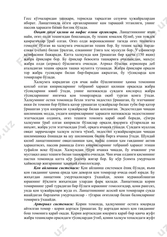 bo'lib o'rnashgan. muskul sigmentlarining shunday joy olishi natijasida, lantsetnik gavdasini ikki yon tomonga bemalol qayira oladi. markaziy nerv sistemasi. lantsetnikning markaziy nerv sistemasi qalin devorli nay shaklida bo'lib, oldingi uchi xorda uchiga bir oz etib bormaydi. (xordadan kaltaroq bo'ladi). lantsetnik nerv nayining oldingi qismi umurtqali hayvonlar bosh miyasiga to'g'ri keladigan bo'laklarga ajralmagan bo'lsa ham, uning oldingi tomonidagi nevrotseli kengayib, bosh miya qorinchasi deb ataladigan katta bo'shliq hosil qiladi. yosh lantsetniklarning miya qorinchasi ustki tomonidagi maxsus teshik-nevropor orqali gavdaning tepasida o'rnashgan hidlov chuqurchasi deb ataluvchi chuqurchaga qo'shiladi. nerv nayining boshidan oxirigacha-nevrotselning ikki tomoniga yorug'lik sezuvchi organlar-gess ko'zchalari joylashgan. yorug'lik nurlari hayvon gavdasidagi tiniq to'qimadan o'tib shu ko'zchalarga tushadi. har qaysi gesse ko'zchasi yorug'lik sezuvchi hujayradan iborat bo'ladi. pereferik nerv sistemasi: miya nayidan chiqadigan nervlardan iborat. miya nayining eng oldingi uchidan ikki juft bosh miya nervi, qolgan qismlaridan esa metamer bo'lib o'rnashgan bir qancha orqa miya nervlari chiqadi. har qaysi muskul sigmentiga …