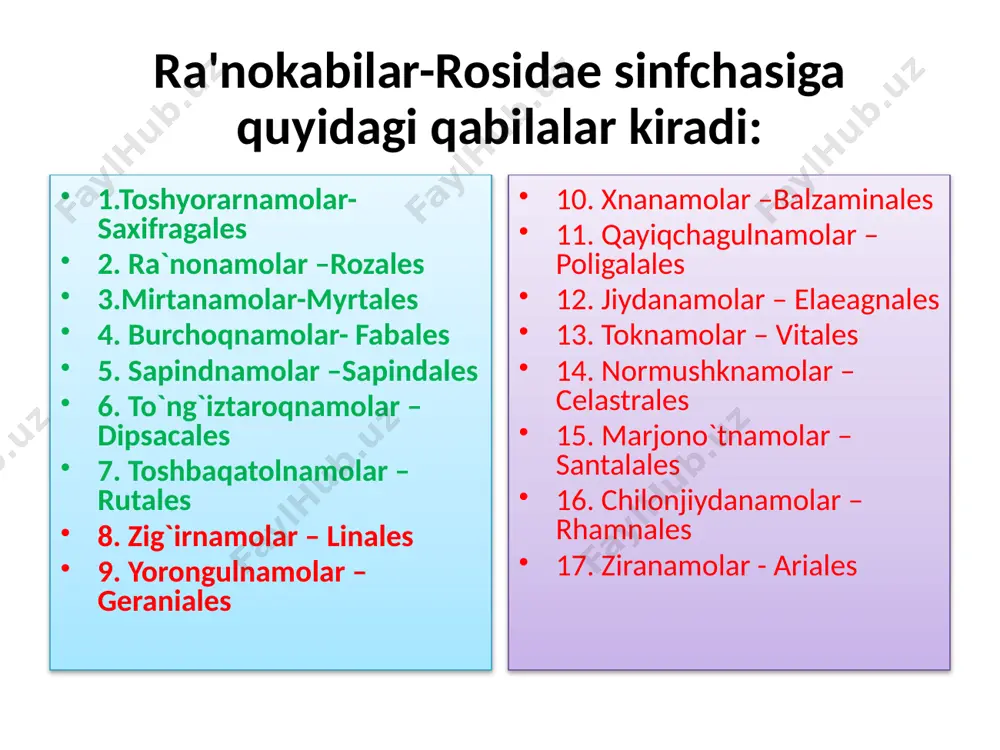 laniladi. kunjarasida oqsil ko’p, mollar uchun to’yimli ozuqa yem bo’ladi. zig’irning ko’p yillik turlari manzarali o’simlik sifatida o'stiriladi . gul formulasi: *♀♂са5со5а5+5g(5) yorongulnamolar qabilasi-geraniales yoronguldoshlar-geraniaceae oilasi qabilaning bizda kengroq tarqalgani yoronguldoshlar oilasidir. oilada 5 ta turkumga kiruvchi 750 ga yaqin tur bor. ular bir va ko’p yillik o'tlar, ayrim butachalardan iborat. o’zbekistonda oilaning 4 ta turkumga mansub 2 ta madaniy va 18 ta yovvoyi turi o’sadi. bulardan eng kattasi yorongul (geranium) hisobianadi. bir, ko’p yillik o’t o’simligi. bargi panjasimon, guli aktinomorf. 5 a'zoli, binafsha rangli. mevasi murakkab. turkum vakillari, asosan, adir va tog’larda tarqalgan. oila vakillarining xarakterli belgilaridan biri hamma turlarida (dubil) oshlovchi moddalar - smolalar bo’lishi va efir moylar chiqarishidir. ayrim vakillari begona o’t sifatida uchraydi. chilonjiydanamolar –rhamnales qabilasi chilonjiydadoshlar-rhamnaceae oilasi oilaga 60 ta turkumga oid 900 dan ortiq tur kiradi. ular yer yuzida keng tarqalgan. o’zbekistonda 3 ta turkumga mansub 6 ta turi o’sadi. bular buta va past …