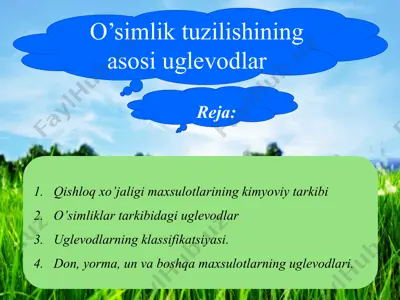 o‘simlik tuzilishining asosi uglevodlar — PPTX