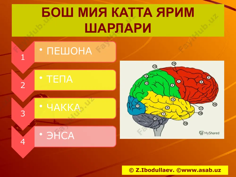 т” “инсульт ва кома” номли қўлланмалари чоп қилинган. инсульт нейропсихологияси бўйича докторлик диссертациясини ёқлаган (2005 йил) image2.jpeg image3.jpeg image4.jpeg image5.png image6.png image7.png image8.png image9.png image10.png image11.png image12.png image13.png image14.jpeg image15.jpeg image16.png image17.png image18.jpeg image19.png image20.jpeg image21.png image22.jpeg image23.png image24.png image25.png image26.png image27.jpeg image28.jpeg image29.png image30.jpeg image31.jpeg image32.jpeg image1.png /docprops/thumbnail.jpeg