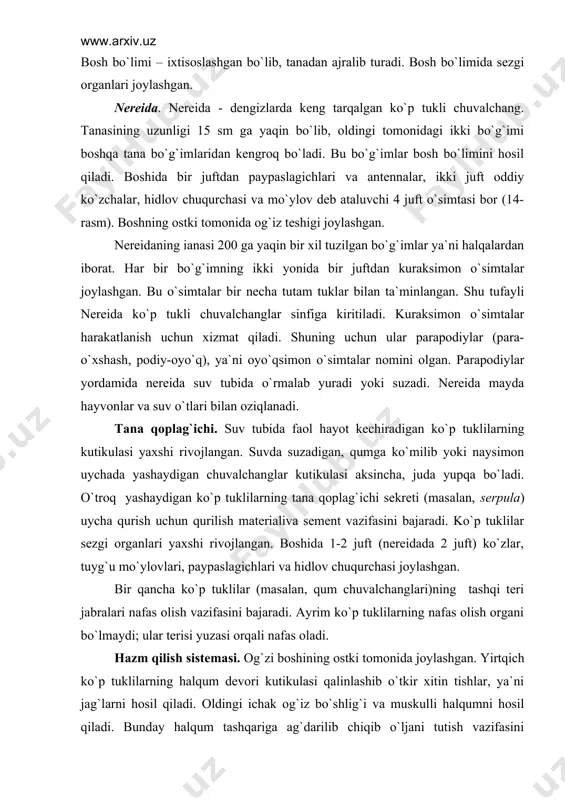 paypaslagichlari va hidlov chuqurchasi joylashgan. bir qancha ko`p tuklilar (masalan, qum chuvalchanglari)ning tashqi tеri jabralari nafas olish vazifasini bajaradi. ayrim ko`p tuklilarning nafas olish organi bo`lmaydi; ular tеrisi yuzasi orqali nafas oladi. hazm qilish sistеmasi. og`zi boshining ostki tomonida joylashgan. yirtqich ko`p tuklilarning halqum dеvori kutikulasi qalinlashib o`tkir xitin tishlar, ya`ni jag`larni hosil qiladi. oldingi ichak og`iz bo`shlig`i va muskulli halqumni hosil qiladi. bunday halqum tashqariga ag`darilib chiqib o`ljani tutish vazifasini bajaradi. erkin yashovchi ko`p tuklilar yirtqich hayot kechiradi. o`troq yashovchi ko`p tuklilarning boshidagi palpalari uzun patsimon o`simtalarga aylangan. bu o`simtalar suvda muallaq turadigan organik zarralar va mikroorganizmlarni yig`ish va og`izga haydash vazifasini bajaradi.bu o`simtalar nafas olish (jabralar)vazifasini ham bajaradi. ko`payishi va rivojlanishi. ko`p tuklilar odatda ayrim jinsli, lеkin ularda jinsiy dеmorfizm rivojlanmagan. ko`pchilik ko`p tuklilar tuxum qo`yadi, ayrim turlari tirik tug`adi. ayrim ko`p tuklilarda jinssiz kurtaklanish sodir bo`ladi. buning natijasida juda ko`p individlarning bir qator zanjirdan iborat muvaqqat koloniya …