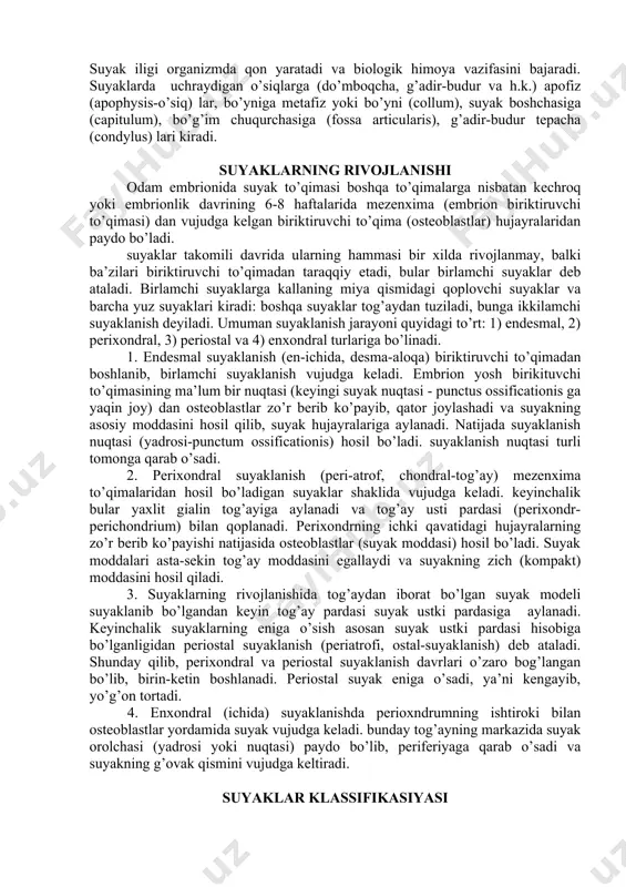 qi va ichki plastinkalari bir-biriga yopishib, bitta butun qavatni hosil qiladi. kalta suyaklar nukul g’ovak moddalardan iborat bo’ladi, tashqi qismi esa faqat yupqagina zich plastinkasi bilan qoplanadi. uzun suyaklarning ikki uchi - (epiphysis), epifizlari kalta suyaklarga o’xshash bo’lsa, tanasi diafizi (diaphysis) uzunasiga joylashgan kavak silindr shakli bo’lib, devori qalin zich modda po’stidan tuzilgan. uzun suyak epifizlari bo’g’im yuzalari (facies articularis) bilan tugaydi. ana shu kavak kanali bo’ladi, bu kanal uzun suyakning ikkala uchi (epifiz) dagi g’ovaklarga tutashib ketadi. suyaklar epifizi va diafiz oraliq qismiga metafiz (metahysis) deyiladi. bundan tashqari, suyaklar tuzilishi uning shakl va vazifasiga bog’liq bo’ladi, ya’ni suyaklar vazifasi o’zgarganda, uning tuzilishi ham o’zgaradi yoki buning aksi kuzatiladi. suyakning sirtqi yuzasi suyak ustki pardasi (periost-periostqum) bilan qoplangan (suyakning bo’g’im yuzalari, paylar va boylamlar yopishgan joylarda periost bo’lmaydi). periost yupqa, pushti rangli biriktiruvchi to’qimadan iboratdir. periost suyaklarning alohida teshikchalaridan o’tib boradigan tolachalari vositasida suyaklar ustiga mustahkam yopishib turadi. suyak kavaklari, …