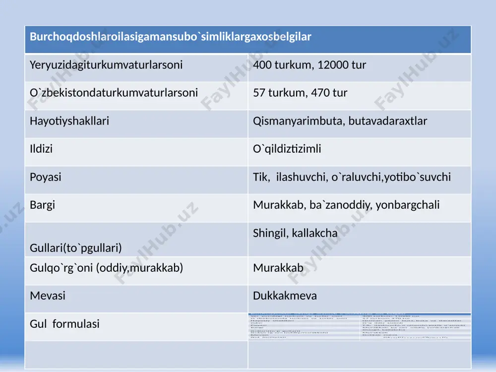 ituzumdoshlar oilasi - Page 4