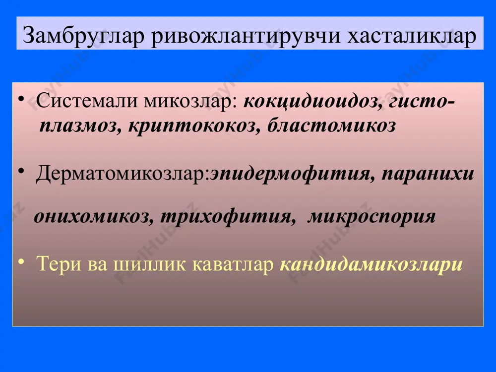 ея, терининг яллигланиши ва кичишиши, гепатотоксик таъ-р клотримазол имидазол хосиласи булиб, нистатин ва ле- ворин самарасиз булган холларда куллани- лади. клотримазол юкори даражада захар- лиликга эга. шу сабабли факат махаллий кулланилади. кетоконазол имидазол унуми,системали ва юзаки микозлар да хам самарадор. митдан яхши сурилади ку- нига бир марта ичилади. дерматомикозлар, онихомикозлар, бошнинг сочли кисми, огиз бушлиги, куз,кин, мит,пешоб ва жинсий йул- лар ва бошка ички аъзоларнинг бластомицетоз ларида кулланилади. нохуш таъсири: диспеп- сия,диарея,бош огриги,бош айланиш, уйкучан- лик,артралгия, геникомастия, алопеция, жигар функциясини бузилиши. хомиладор, эмизувчи аёлларда, жигар ва буйрак хасталикларида кул лаш мумкин эмас. флуконазол триазол унуми, кучли антимикоз таъсирига эга митдан тез сурилади, конда узок сакланади. 80% пешоб билан ажралади. энтерал ва парен- терал кулланилади: криптококкозларда(минин- гитида хам), системали кандидозлар, иммунит- ет пасайиши туфайли замбругли хасталиклар келиб чикиши хавфи тугилганда( усмалар, нур терапияси, цитостатиклар, горомонлар берилга да)нохуш таъсири: диарея, метиоризм, дерма- тит. хомиладор, эмизувчи аёлларга ва 16 тига тулмаган болаларга бериш …