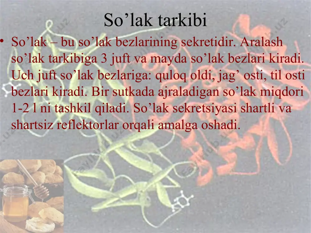 atriy, kaliy, kaltsiy, magniy va boshqalar. shiraning organik tarkibiga proteolitik fermentlar kiradi, ularning ichida asosiy vazifani bajaruvchi ferment pepsindir. pepsinlar nofaol (sust) pepsinogen holatida ajraladi va xlorid kislota ta’sirida faollashadi. ph 1,5-2,0 bo’lganda ularning proteolitik faolligi optimal bo’ladi, oqsillarni albumoz va pentonlargacha parchalaydilar. gastriksin ph 3,2-3,5ga teng bo’lganda oqsillarni gidrolizga uchratadi. renin (ximozin) kaltsiy ionlari ishtirokida eruvchi oqsil kazionogendan erimaydigon kazein hosil qilish natijasida sutni o’g’izga aylantiradi. me’da shirasida preteolitik bo’lmagan fermentlar ham mavjud. bularga faqat emulsiyalangan yog’larni parchalovchi lipaza kiradi. me’dada oziq modda muhiti kislotali bo’lgunga qadar so’lak amilazasi ta’sirida karbonsuvlar gidrolizi davom etadi. me’da shirasida bakteriotsit ta’sirga ega bo’lgan lizotsim-moddasi bor. shira tirkibidagi mutsin saqlovchi shilimshiq modda me’daning shilliq qavatini mexanik va kimyoviy ta’sirlardan himoya qiladi. me’dada gastromukopreteid yoki kasl ichki faktori ishlab chiqariladi, me’da shirasida, shuningdek, aminokislotalar va siydik kislotalari ham bor. me'da osti bezi shirasi me'da osti bezi shirasining - bir suyuqlik oshqozon osti bezi tomonidan …