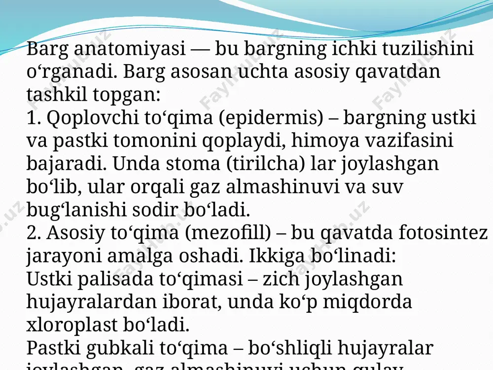 barg - Page 5
