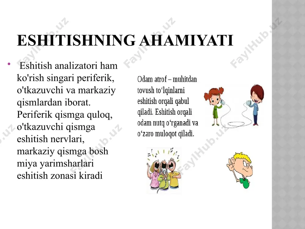 eshitish organlarining tuzilishi, eshitish gigiyenasi - Page 4