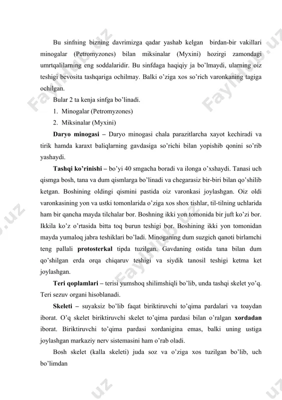 - bularda tana va dum muskullari juda ham sodda tuzilgan. tana va dum bo’linmalarining muskullari to’ri qator bo’lib o’rnashgan biriktiruvchi to’qima bilan bir-biridan ajralgan muskul segmentlaridan iborat. markaziy nerv sistemasi – bir-biridan aniq ajralgan bosh miya va orqa miyaga bo’linadi. hid bilish organi – tashqi toq (bitta) burun teshigidan iborat. ovqat xazim qilish organlar sistemasi – oiz varonkasining oldida oiz bo’shlii bilan qo’shilgan oiz teshigi bor. oiz bo’shliida (tishli til) keyin qizilo’ngach va ichak. ichak nayining oldingi kengaygan qismi oshqozon keyingisi to’ri ichakdir. ichakni boshidan oxirigacha parda burmasi bor, bu spiral klapan deb ataladi va ichakni ovqat so’rish yuzasini kengaytiradi. bularda jigar rivojlangan, hamda oshqozon osti bezi mavjud. nafas olish organlari - boshqa umrtqalilarnikiga qarama-qarshi to’garak oizlilarning jabra xolatlari jabra yoriqlarida taraqqiy etgan. ayrish organlari – ikkita uzun lenta shaklida bo’lib-mezonefros bo’yraklar deyiladi. jinsiy organlari – urochi va erkak minogalarning toq jinsiy bezdan iborat, bu bez tana bo’shliining ko’p qismini …