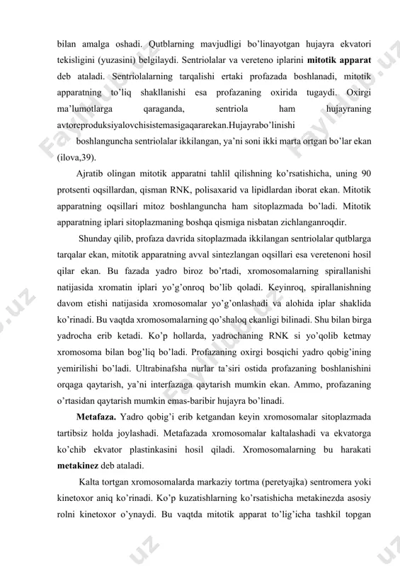 afaza. yadro qobig’i erib ketgandan keyin xromosomalar sitoplazmada tartibsiz holda joylashadi. metafazada xromosomalar kaltalashadi va ekvatorga ko’chib ekvator plastinkasini hosil qiladi. xromosomalarning bu harakati metakinez deb ataladi. kalta tortgan xromosomalarda markaziy tortma (peretyajka) sentromera yoki kinetoxor aniq ko’rinadi. ko’p kuzatishlarning ko’rsatishicha metakinezda asosiy rolni kinetoxor o’ynaydi. bu vaqtda mitotik apparat to’lig’icha tashkil topgan bo’ladi. ularning iplari orasida kinetoxorlarga birikkan, bir qutbdan ikkinchi qutbga tortilgan iplarni ko’rish mumkin. elektron mikroskopning ko’rsatishicha, vereteno iplari diametri 150-200 å keladigan naychalar tutamidan iborat ekan. ular hamma vaqt kinetoxor bilan bog’liq bo’ladi (ilova,33 ga qarang). xromosomalar ikki qutbning o’rtasida joylashadi kinetoxorlari buzilganda xromosomalar harakat qila olmaydilar. metafazada xromosomalarning joylanishi veretenoning faoliyatidan kelib chiqadi. xromosomalar birlamchi tortma qismida qayrilgan bo’ladi, kinetoxorlar aniq ekvator tekisligiga joylashadi (ilova,39,b). agarda metafazada kolxisin ta’sir ettirilsa, vereteno yemiriladi, xromosomalar qutblarga tarqala olmaydi, hujayra bo’lina olmay, tetraploid bo’lib qoladi. metafazada xromosomalar yaxshi ko’ringani uchun ularni sanash oson bo’ladi. anafaza. bu fazada xromosomalar …