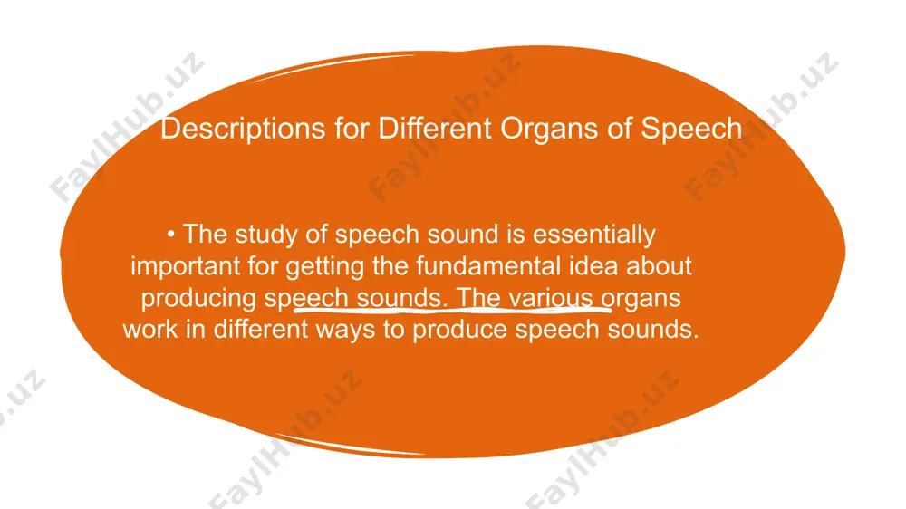 the organs of speech - Page 4