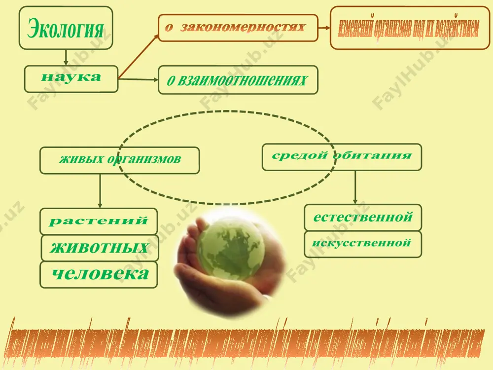 ekologiya i ekologicheskaya bezopasnost - Page 4
