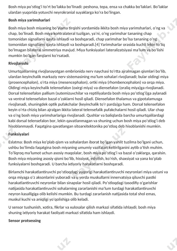 miya kontralateral tuzilgan, ya’ni, oʻng yarimshar tananing chap tomonidan signallarni qayta ishlaydi va boshqaradi, chap yarimshar boʻlsa tananing oʻng tomonidan signallarni qayta ishlaydi va boshqaradi.[4] yarimsharlar orasida kuchli lekin toʻliq boʻlmagan bilateral simmetriya mavjud. miya funksiyalari lateralizatsiyasi ma’lum va boʻlishi mumkin boʻlgan farqlarni koʻrsatadi. rivojlanishi umurtqalilarning rivojlanayotgan embrionida nerv naychasi toʻrtta ajralmagan qismlari boʻlib, ulardan keyinchalik markaziy nerv sistemasining ma’lum sohalari rivojlanadi; bular oldingi miya (prosencephalon), oʻrta miya (mesencephalon), ortki miya (rhombencephalon) va orqa miya. oldingi miya keyinchalik telensefalon (oxirgi miya) va diensefalon (oraliq miya)ga rivojlanadi. dorsal telensefalon pallium (sutemizuvchilar va reptiliyalarda bosh miya poʻstlogʻi)ga aylanadi va ventral telensefalon bazal oʻzaklarni hosil qiladi. diensefalon thalamus va gipotalamusga rivojlanadi, shuningdek optik pufakchalar (keyinchalik toʻr parda)ga ham. dorsal telensefalon keyin oʻrta chiziq bilan ajralgan ikkita lateral telensefalik pufakchalarni hosil qiladi. ular chap va oʻng bosh miya yarimsharlariga rivojlanadi. qushlar va baliqlarda barcha umurtqalilardagi kabi dorsal telensefalon bor, lekin qavatlanmagan va shuning uchun …