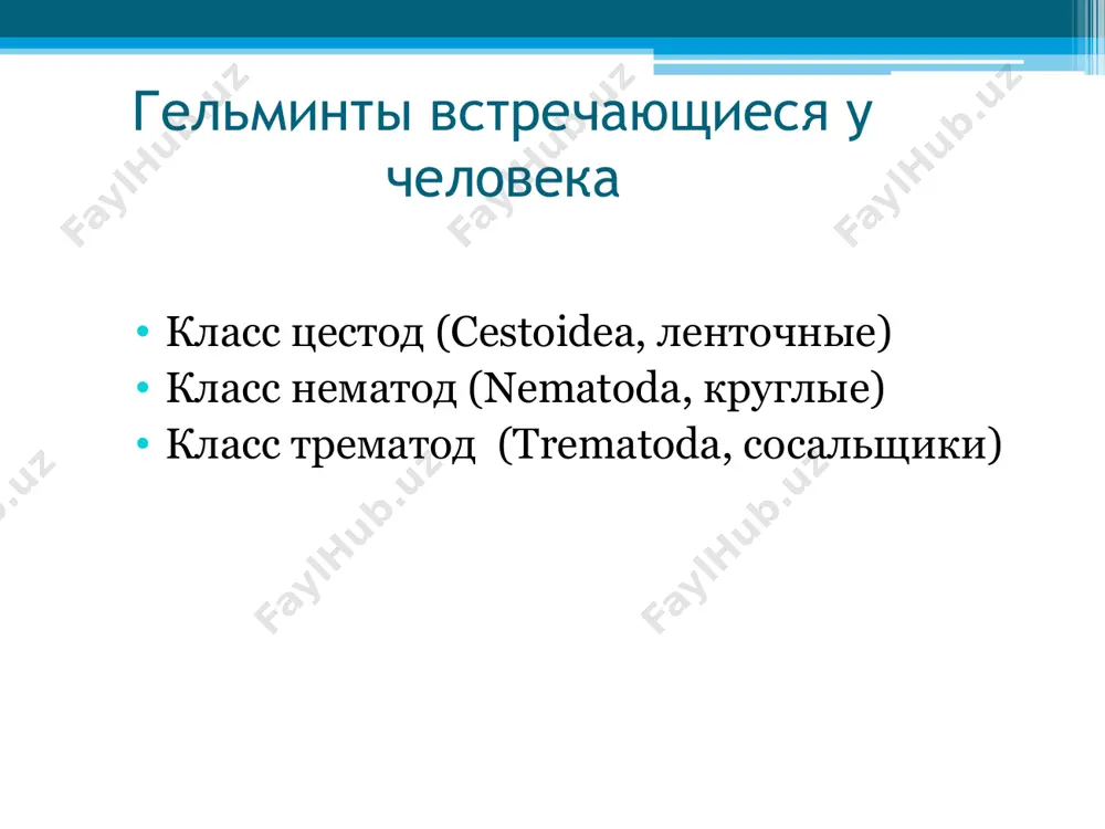 е, реже – в протоках поджелудочной железы окончательного хозяина. двуустка сибирская (opisthorchis felineus) жизненный цикл трематод через сутки в мышцах рыбы церкарии инцистируются, превращаясь в метациркарии. окончательный хозяин (человек, кошки, собаки, лисы, ондатры, норки и др.) заражается при поедании пораженной рыбы. попавшие при этом в кишечник метациркарии освобождаются от цистных оболочек, проникают в желчные пути и через 2 недели формируются в половозрелых гельминтов. паразитируют описторхисы в желчных протоках, желчном пузыре, реже – в протоках поджелудочной железы окончательного хозяина. двуустка сибирская (opisthorchis felineus) жизненный цикл трематод диагноз может быть поставлен на основе обнаружения яиц в дуоденальном содержимом и в фекалиях. обнаружение яиц возможно не ранее чем через месяц после заражения. двуустка сибирская (opisthorchis felineus) жизненный цикл трематод китайский сосальщик имеет плоское тело с узким передним концом. размер гельминта несколько больший, чем у описторхиса (10-20х2-4 мм). покровы гладкие, без шипиков. ротовая присоска больше брюшной. двуустка китайская (clonorchis sinensis) жизненный цикл трематод развитие …