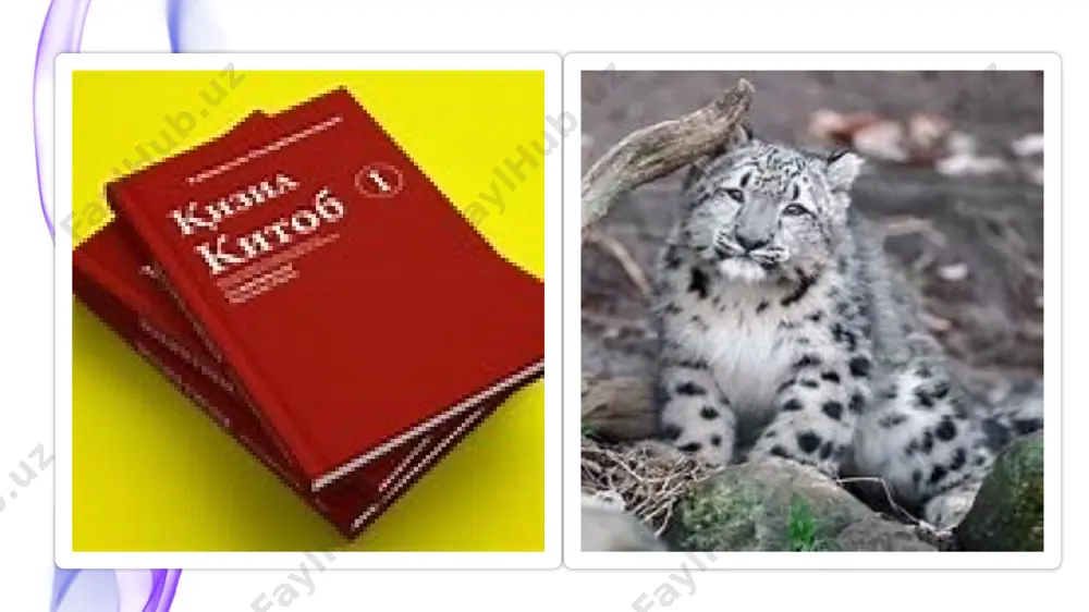 chun muhimdir. image4.png image5.png image6.png image7.png image8.png image9.png image10.png image11.png image12.png image13.png image14.png image1.jpeg image2.jpeg image3.jpeg /docprops/thumbnail.jpeg