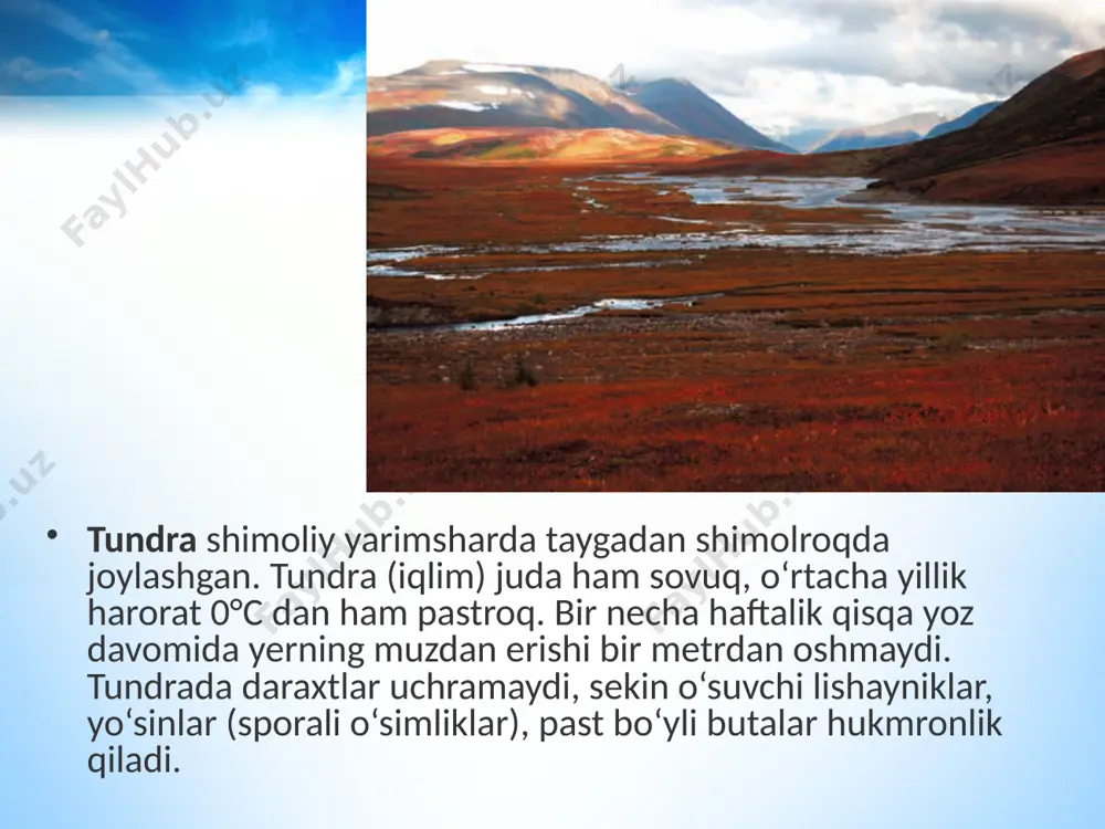 tabiiy ekosistemalar. 11 - sinf - Page 5