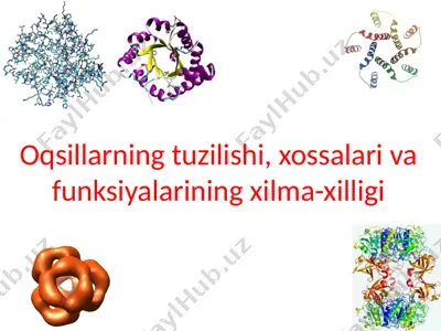 oqsillarning tuzilishi, xossalari va funksiyalarining xilma-xilligi — PPTX