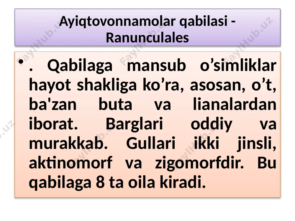 bor, gullari tsimoz tipda shoxlanadigan yoyiq to’pgul bo’lib turadi. gulining qo’sh gulqo’rg’oni bor. gulqo’rg’oni 5 ta, gulkosacha va sariq rangli 5 ta gultojibargidan tashkil topgan. tojibarglarining ostida nektar bezlari bor. changchilari hamda urug’chilari cheksiz, tugunchasi ustki. har qaysi onalikdan changlanish va otalangandan so’ng ochilmaydigan quruq meva - yong’oqcha hosil bo’ladi. bu turlarning hamma vakillari zaharli hisoblanadi. shuning uchun ham ularni mollar yemaydi o’zbekiston respublikasii "qizil kitobi" ga kiritilgan ayiqtovondoshlar oilasining quyidagi turlari - knoring isfaragi. (delphinium knorringianum). zarafshon parpisi (aconium syeravschanicum), oq parpi (aconium talassicum), po’fanagi (anemone protracta), tillarang sug’uro’t (adonis chrysocyathus), tuksiz sug’uro’t (adonis leiosepala), oltoy trolliusi (trollius altaicus).. zirkdoshlar oilasi - berberidaceae oilaning 14 ta turkumi, 650 taga yaqin turi mavjud bo’lib, o’zbekistonda 3 turkumga oid 8 ta turi o’sadi. 1,5 -3 metr balandlikdagi butalar, subtropik va mo’tadil iqlimli mintaqalarda keng tarqalgan. barglari oddiy va murakkab. gullari 2 jinsli, gulkosa va gultojbarglari 6 tadan. changchisi ham 6 ta. …