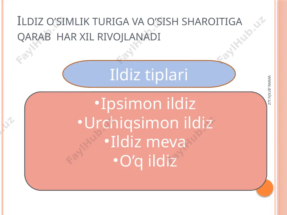 ildiz metomorfozi va uning anatomik tuzilishi - Page 5