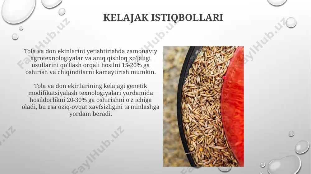 li ekinlarning ahamiyati donli ekinlarning genetik xilma-xilligini oshirish va zamonaviy agrotexnologiyalarni qo'llash orqali suv resurslaridan samarali foydalanish va hosildorlikni 25% gacha oshirish mumkin. tolali va donli ekinlar o'zbekiston qishloq xo'jaligining 60% dan ortiq qismini tashkil etib, oziq-ovqat xavfsizligi va eksport salohiyatiga katta hissa qo'shadi. tadqiqotlar va innovatsiyalar biotexnologik usullardan foydalangan holda, kasalliklarga chidamli va zararkunandalarga qarshilik ko'rsatuvchi yangi navlarni yaratish bo'yicha 5 yillik tadqiqotlar davomida 10 dan ortiq yangi gibrid navlari yaratildi. suv resurslaridan samarali foydalanishni ta'minlovchi, sug'orish texnologiyalarini optimallashtirishga qaratilgan innovatsion yondashuvlar loyihalari 30% gacha suv tejovchi texnologiyalarni ishlab chiqishni ko'zda tutadi. e'tiboringiz uchun rahmat @taqdimot_robot image3.png image4.jpg image5.jpg image6.jpg image7.jpg image8.jpg image9.jpg image10.jpg image11.jpg image12.jpg image13.jpg image14.jpg image15.jpg image1.png