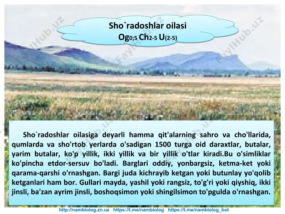 "sho`radoshlar oilasi" - Page 5