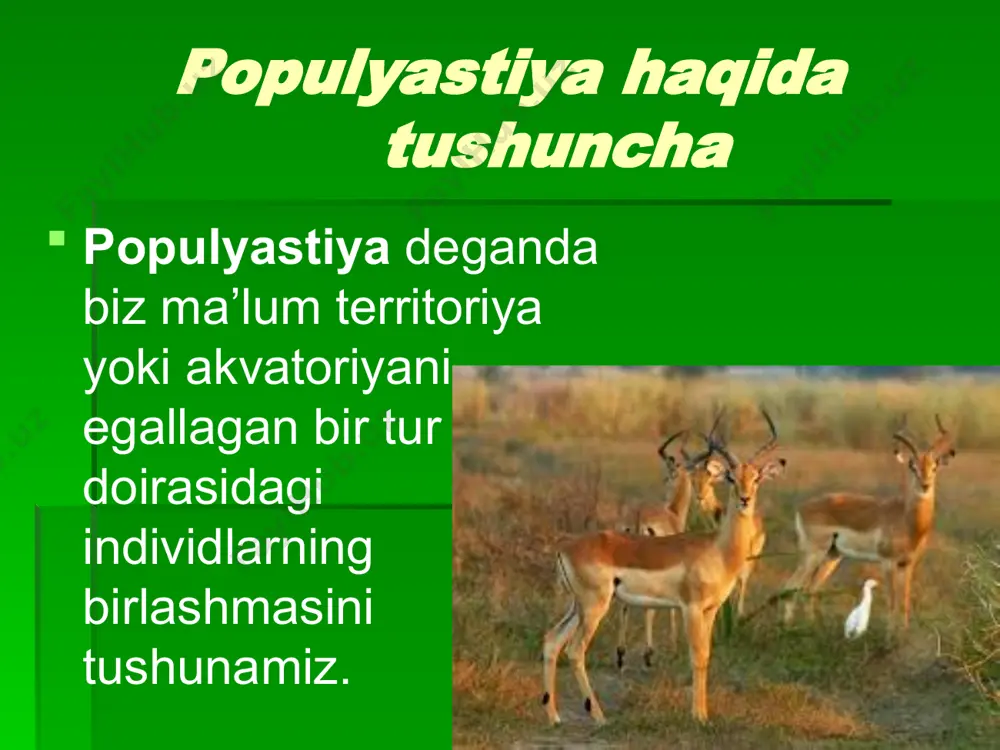 rishini o’rganish. populyastiya-bu tabiiy tarixiy, genetik evolyustion sistemadir. populyastiyalar ekologiyasi katta ahamiyatga ega bo’lgan hayvon va o’simliklarni ko’paytirish yo’llarini topish maqsadida vujudga keldi. bunda, har xil parazitlar, kasal tarqatuvchi organizmlar hisobga olinadi. image1.jpeg image2.jpeg image3.jpeg image4.jpeg image5.jpeg image6.jpeg image7.jpeg image8.jpeg image9.jpeg image10.jpeg