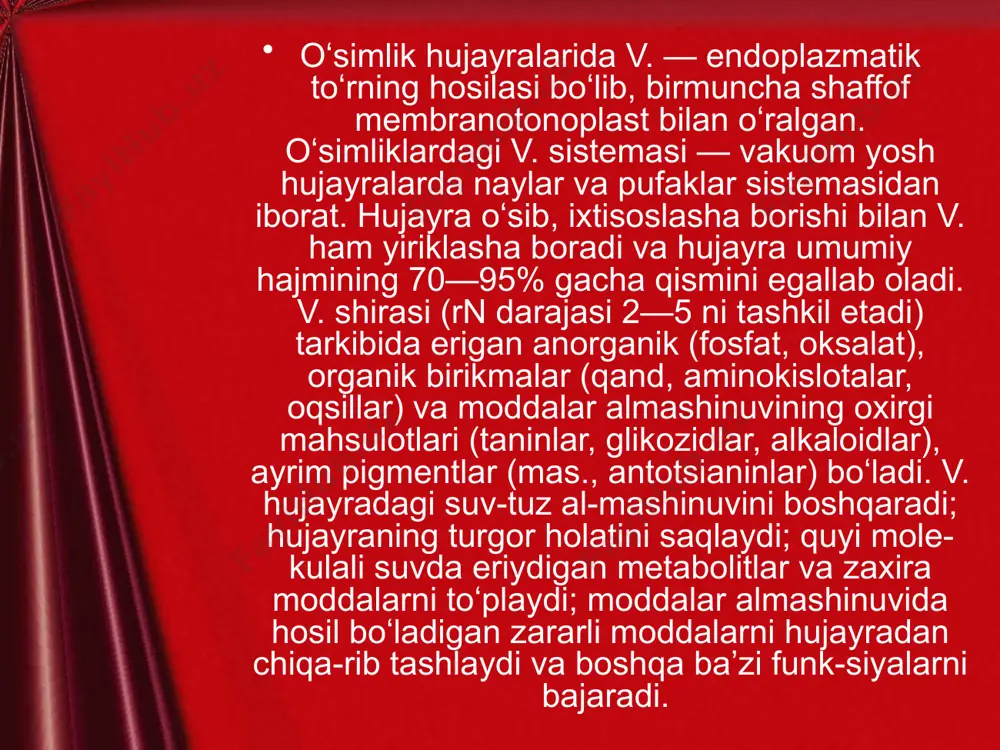 vakuolaning tuzilishi - Page 4