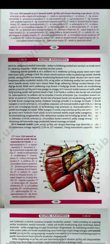yelka bo‘g‘imi punksiyasi - Page 4