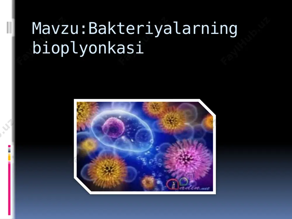tika, biofizika, kosmik biologiya va boshqa sohalarga oid umumiy masalalarni hal qilish uchun eng yaxshi obʼyektdir. b. kulturasidan aminokislotalar, vitaminlar va antibiotiklarni miqdor jihatidan aniqlashda foydalaniladi. tuproq unumdorligi b.ning hayot faoliyatiga bogʻliq. pektin moddalarni bijgʻitadigan bakteriyalar yordamida zigʻir, kanop va boshqa tolali oʻsimliklar ivitiladi. sutdan qatiq, sariyogʻ, pishloq va boshqa mahsulotlar tayyorlashda ham bakteriyalar ning har xil turlaridan foydalaniladi. e’tiboringiz uchun rahmat image2.png image3.png image4.png image5.png image6.png image7.png /docprops/thumbnail.jpeg