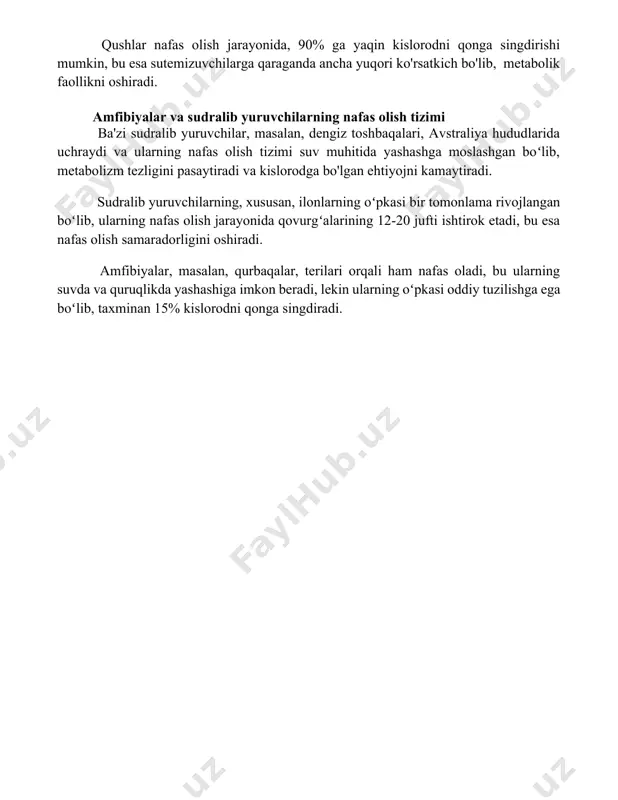 rning o'pkalari uncha katta emas, lekin ularning havo pufakchalari tizimi butun tanaga tarqalgan bo'lib, taxminan 15% dan ortiq hajmni egallaydi va bu butun tanani kislorod bilan ta'minlashni ta'minlaydi. qushlarning nafas olish tizimi, 8-9 ta havo pufakchalari yordamida, nafas olish samaradorligini 2 baravar oshiradi va bu ularga yuqori balandliklarda, masalan, himoloy togʻlarida, 8000 metr balandlikda parvoz qilish imkonini beradi. qushlar nafas olish jarayonida, 90% ga yaqin kislorodni qonga singdirishi mumkin, bu esa sutemizuvchilarga qaraganda ancha yuqori ko'rsatkich bo'lib, metabolik faollikni oshiradi. amfibiyalar va sudralib yuruvchilarning nafas olish tizimi ba'zi sudralib yuruvchilar, masalan, dengiz toshbaqalari, avstraliya hududlarida uchraydi va ularning nafas olish tizimi suv muhitida yashashga moslashgan boʻlib, metabolizm tezligini pasaytiradi va kislorodga bo'lgan ehtiyojni kamaytiradi. sudralib yuruvchilarning, xususan, ilonlarning oʻpkasi bir tomonlama rivojlangan boʻlib, ularning nafas olish jarayonida qovurgʻalarining 12-20 jufti ishtirok etadi, bu esa nafas olish samaradorligini oshiradi. amfibiyalar, masalan, qurbaqalar, terilari orqali ham nafas oladi, bu ularning suvda va …